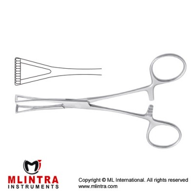 Collin Organ Grasping Forcep Stainless Steel, 14 cm - 5 1/2"